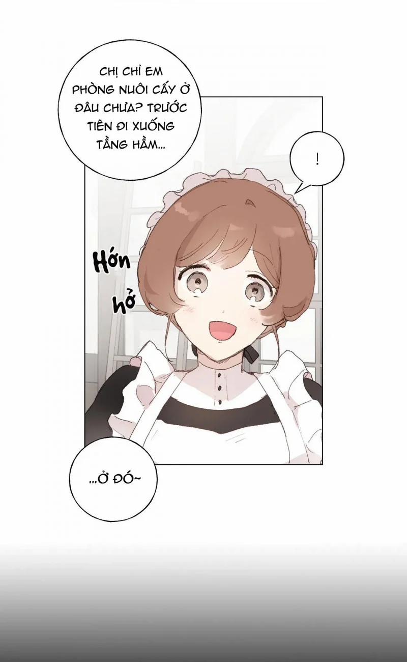 Những Vị Hôn Phu Thầy Kiếm Về Cho Tôi 35.5 trang 4