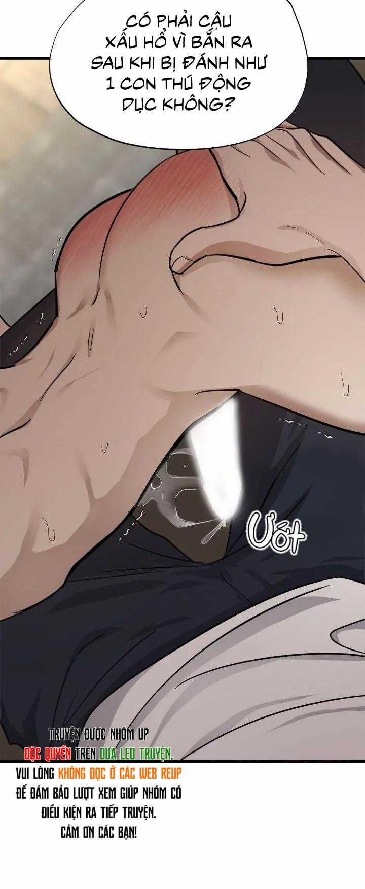 Niềm An Ủi Ngày Chủ Nhật 44 trang 14