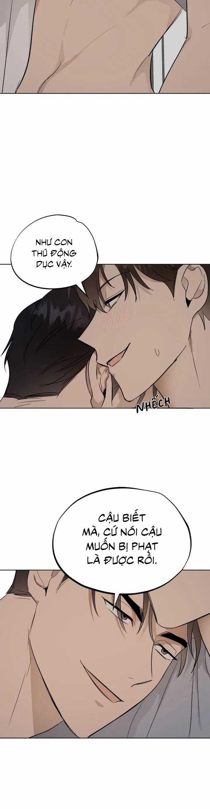 Niềm An Ủi Ngày Chủ Nhật 44 trang 2