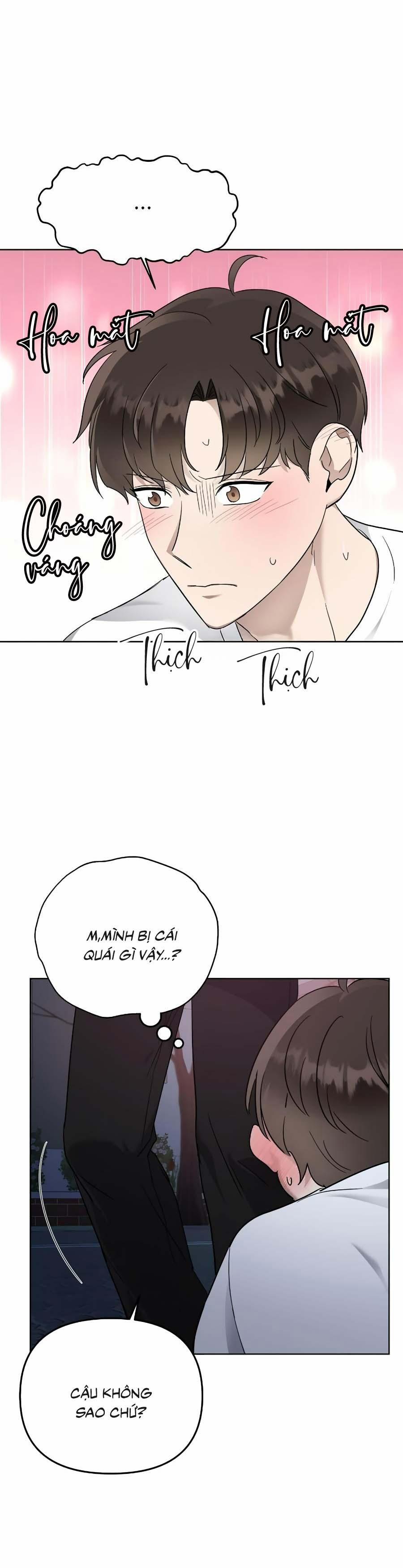 Niềm An Ủi Ngày Chủ Nhật 56 trang 19