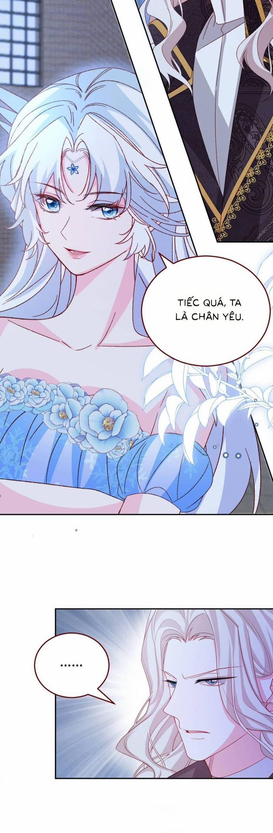 Ninita Yêu Dấu 78 trang 4