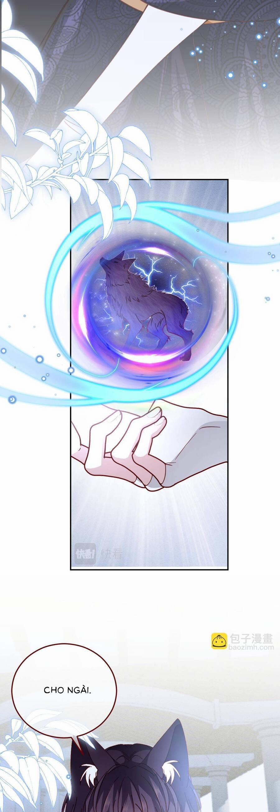 Ninita Yêu Dấu 80 trang 5