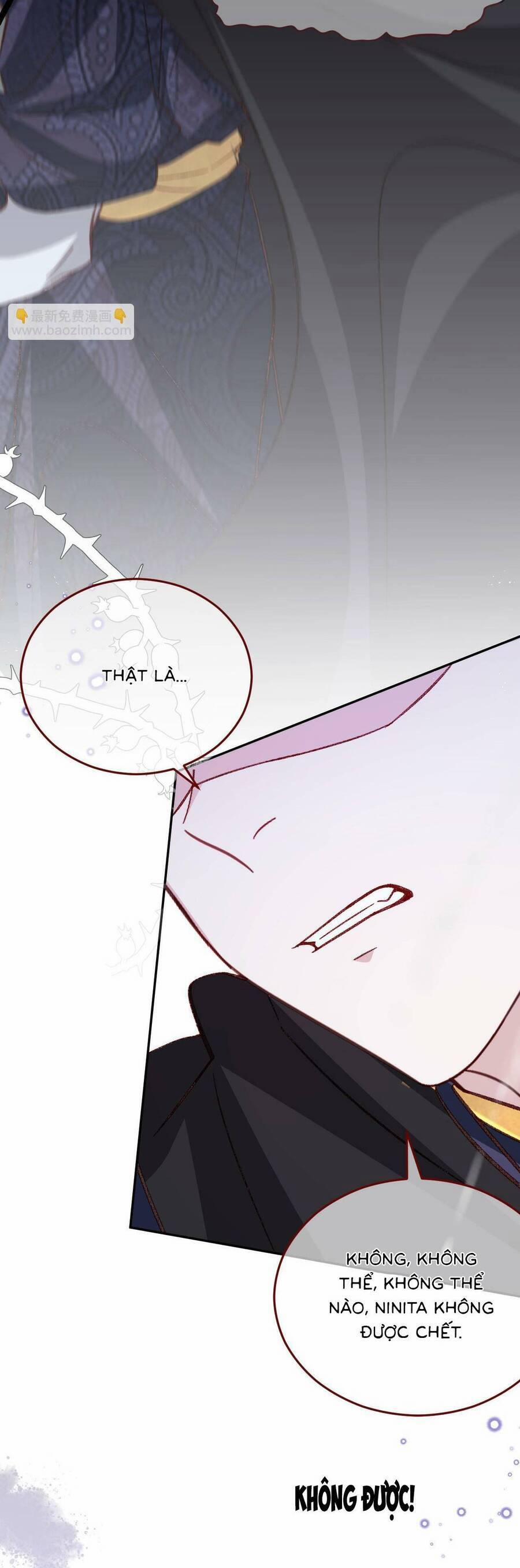 Ninita Yêu Dấu 81 trang 9