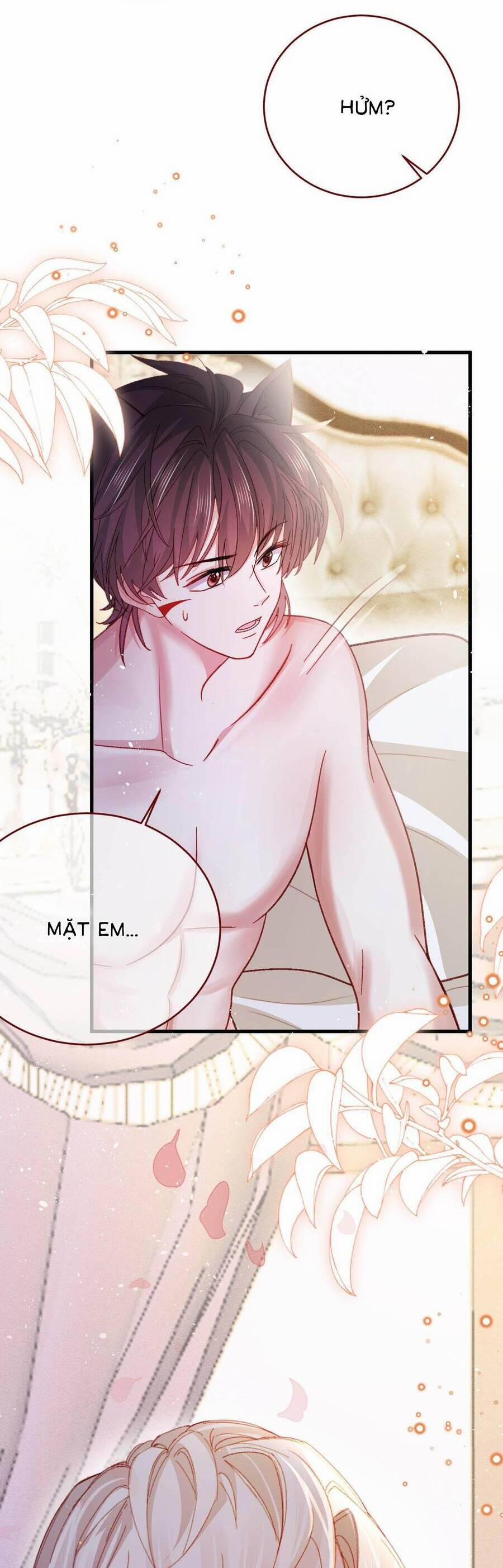 Ninita Yêu Dấu 85 trang 21