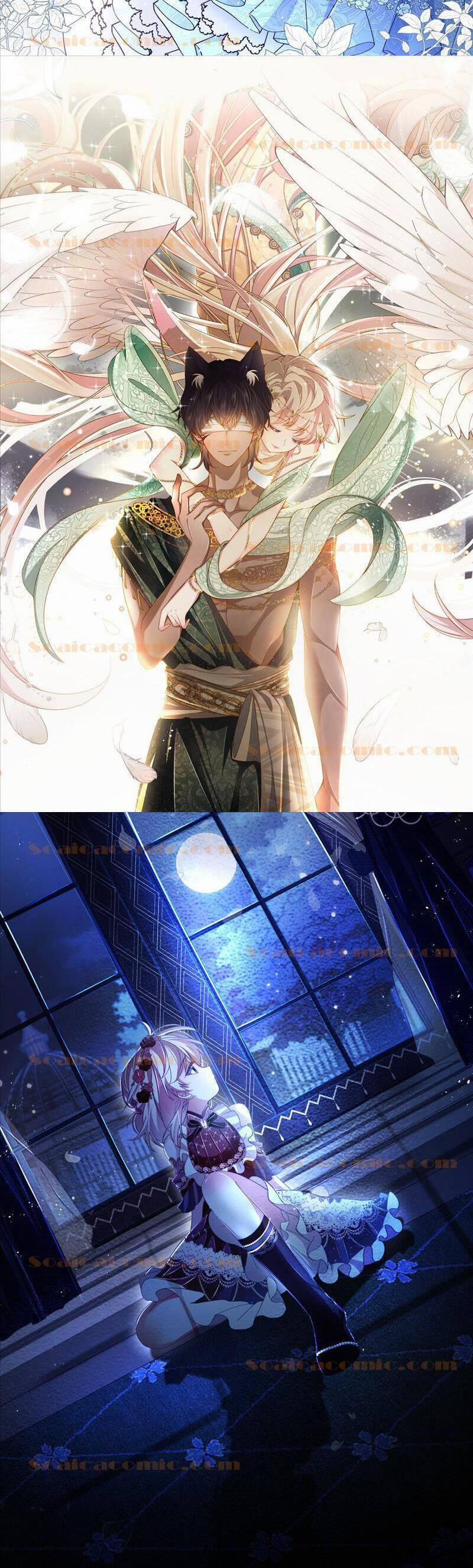 Ninita Yêu Dấu 86.5 trang 5