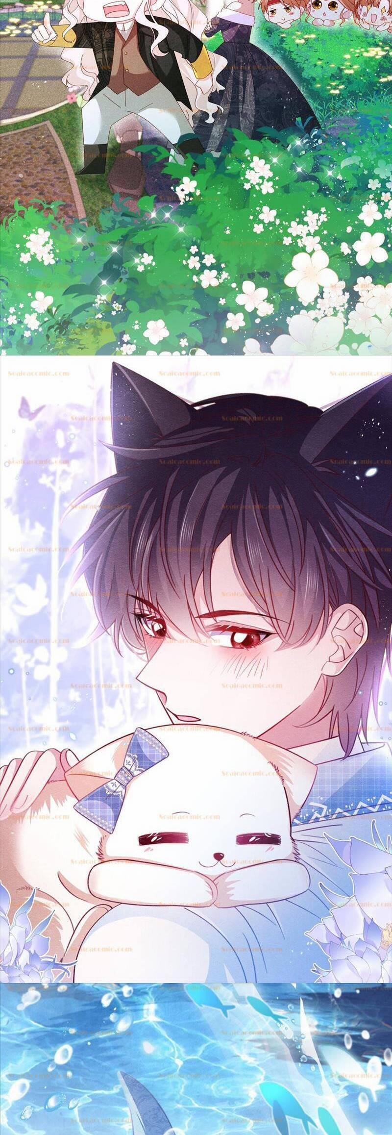 Ninita Yêu Dấu 86.5 trang 7