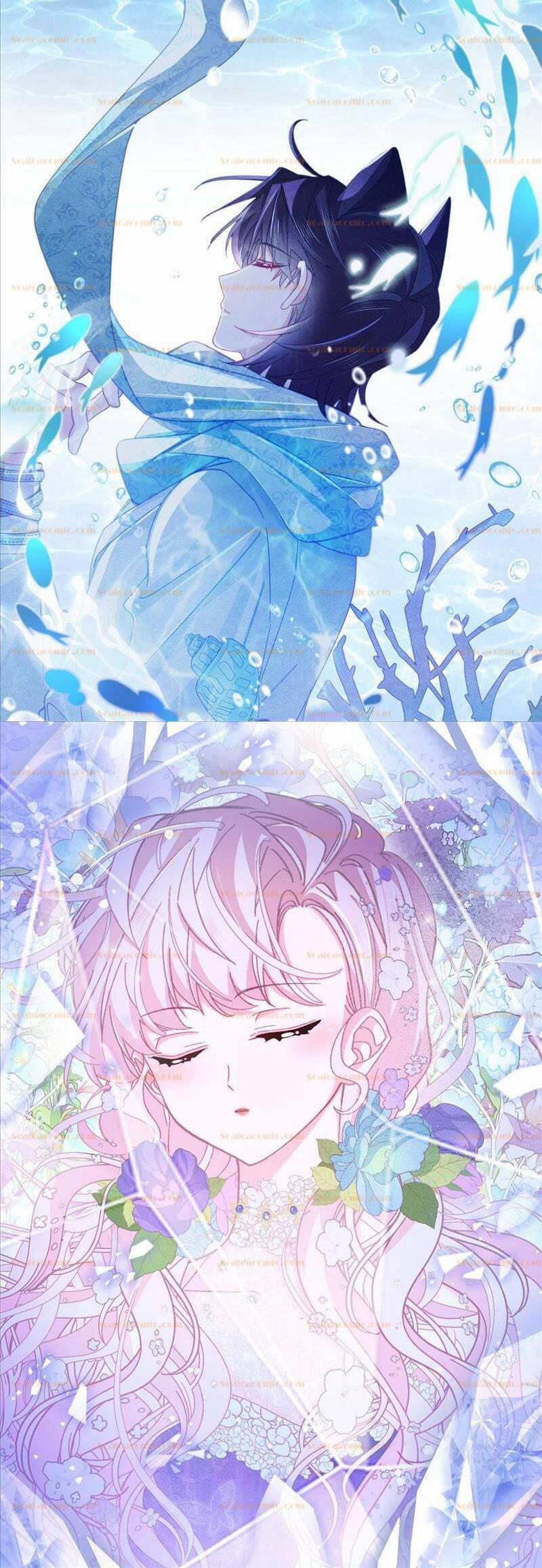 Ninita Yêu Dấu 86.5 trang 8