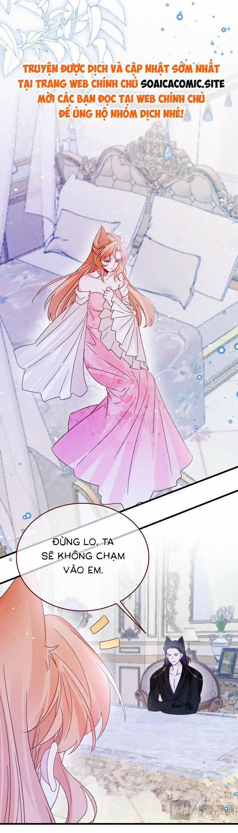 Ninita Yêu Dấu 88 trang 5