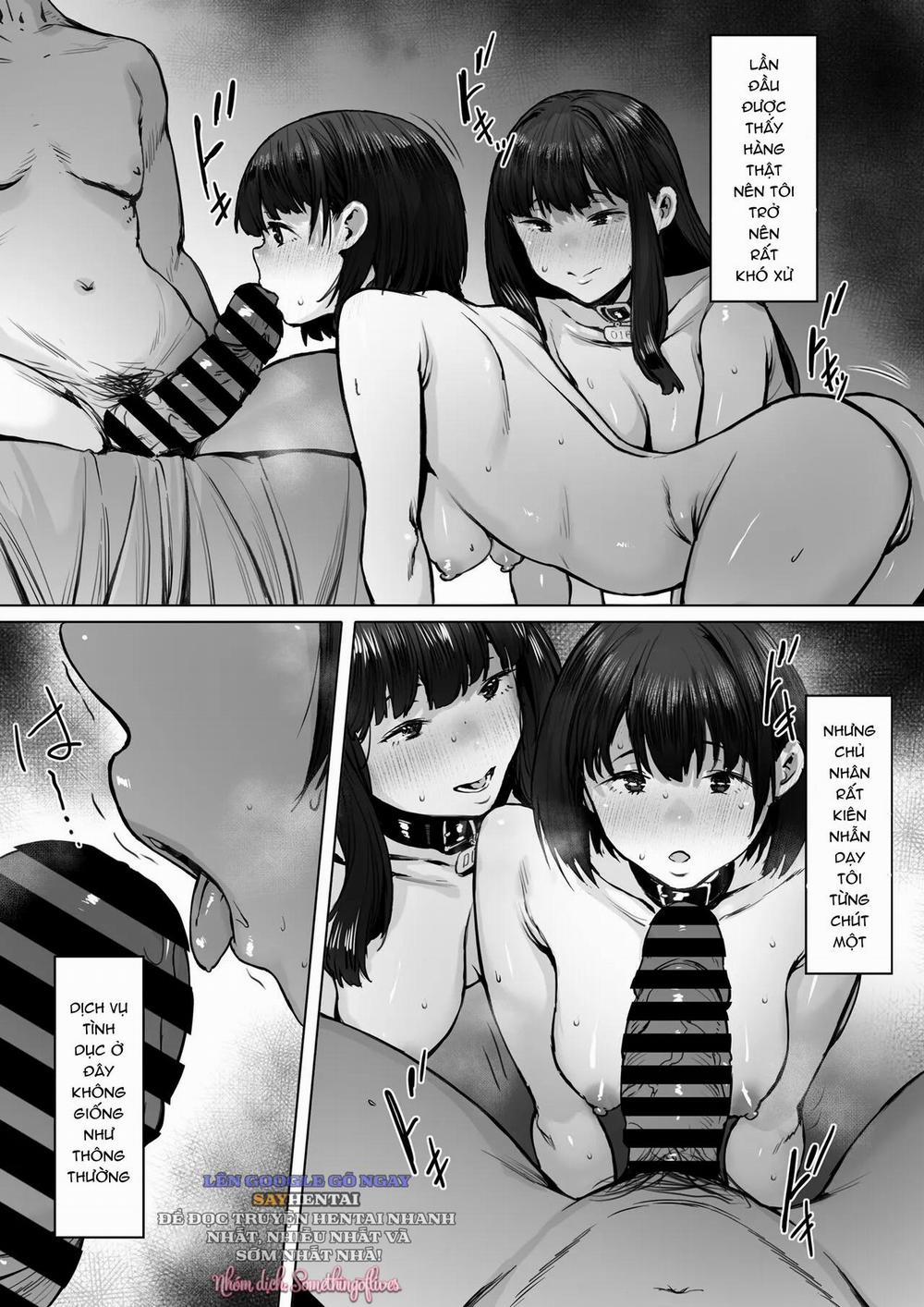 Nô Lệ Đầy Tham Vọng 2 trang 3
