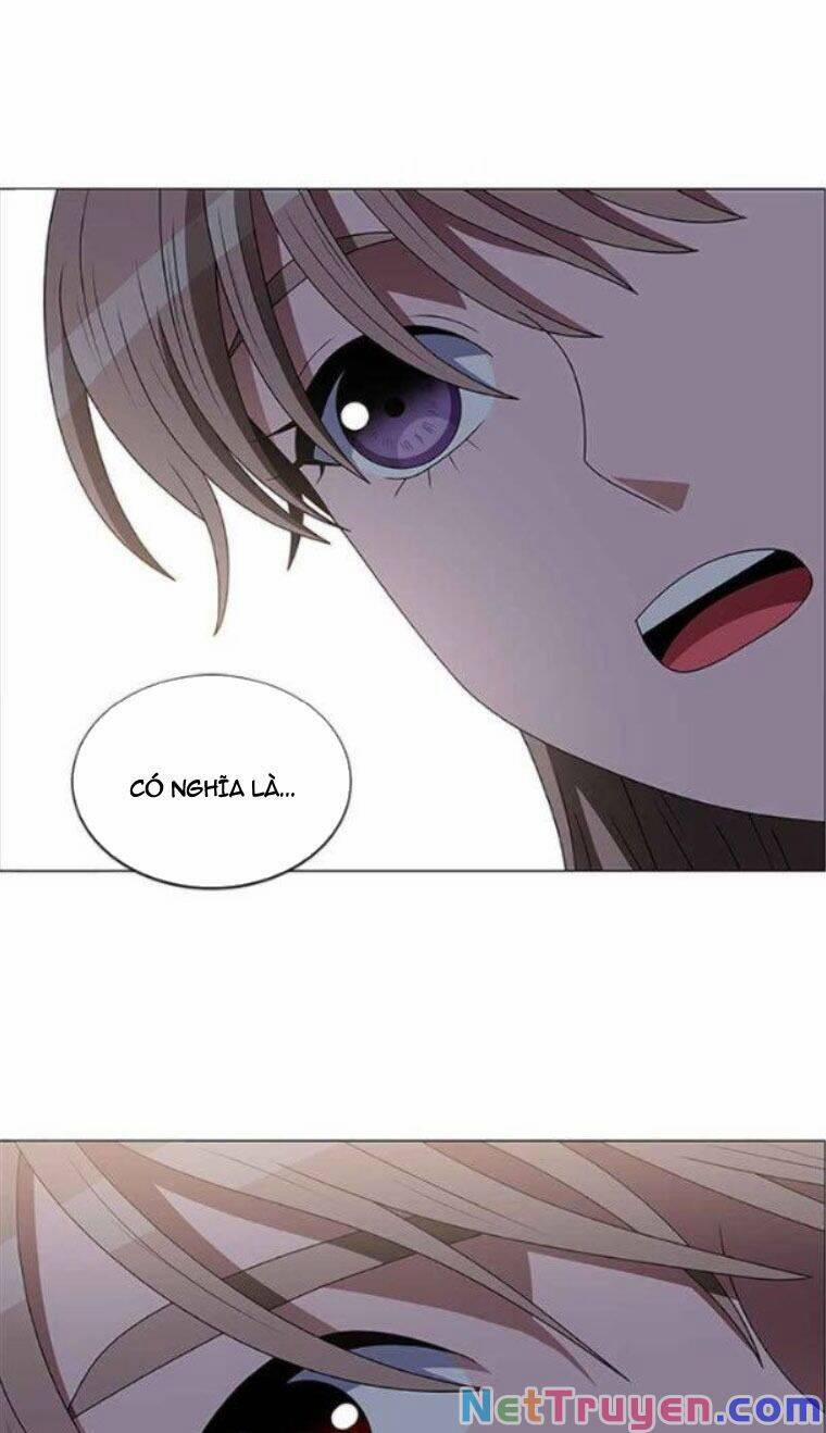 No Scope 117 trang 41