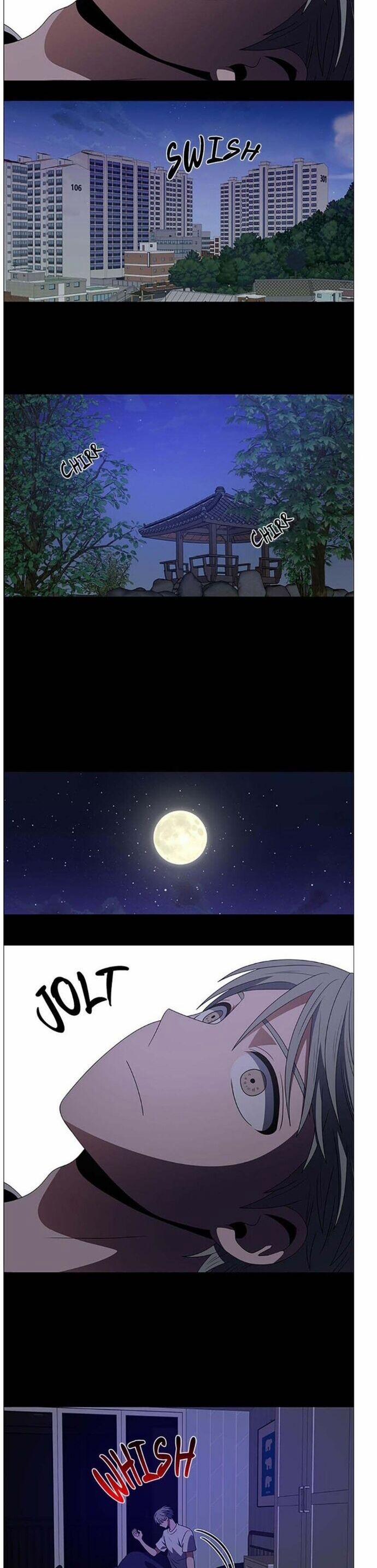 No Scope 128 trang 17