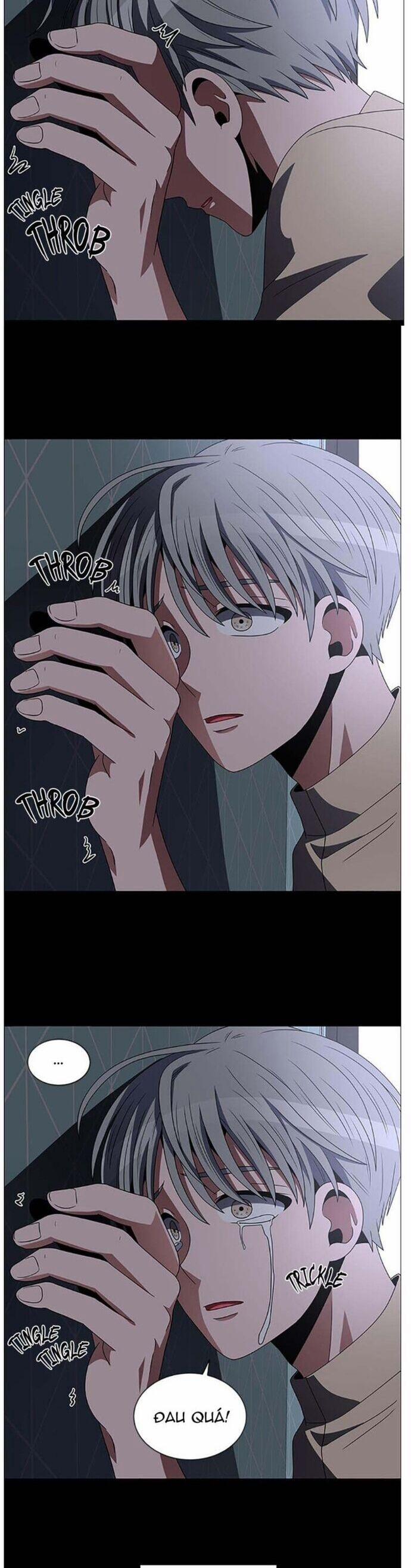 No Scope 129 trang 24