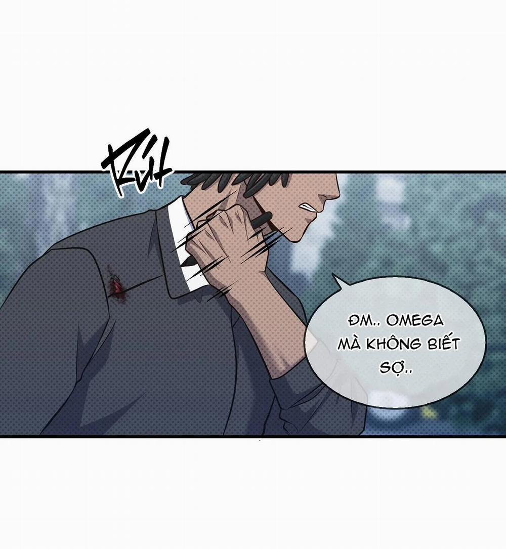 Nỗi U Sầu Của Manhattan 5 trang 16