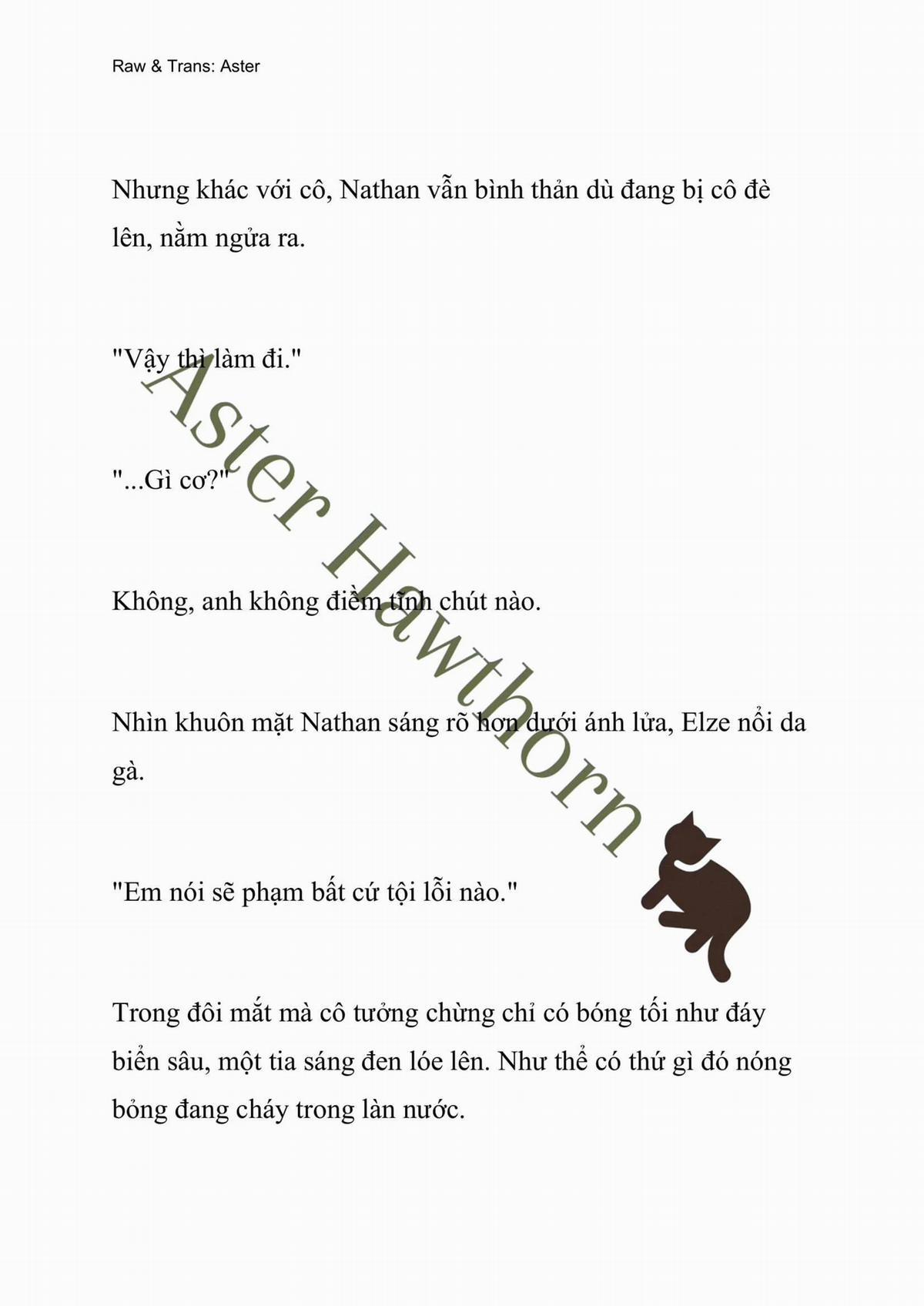 [Novel] Anh Hùng Khao Khát Sự Sa Ngã Của Thánh Nữ 10 trang 13