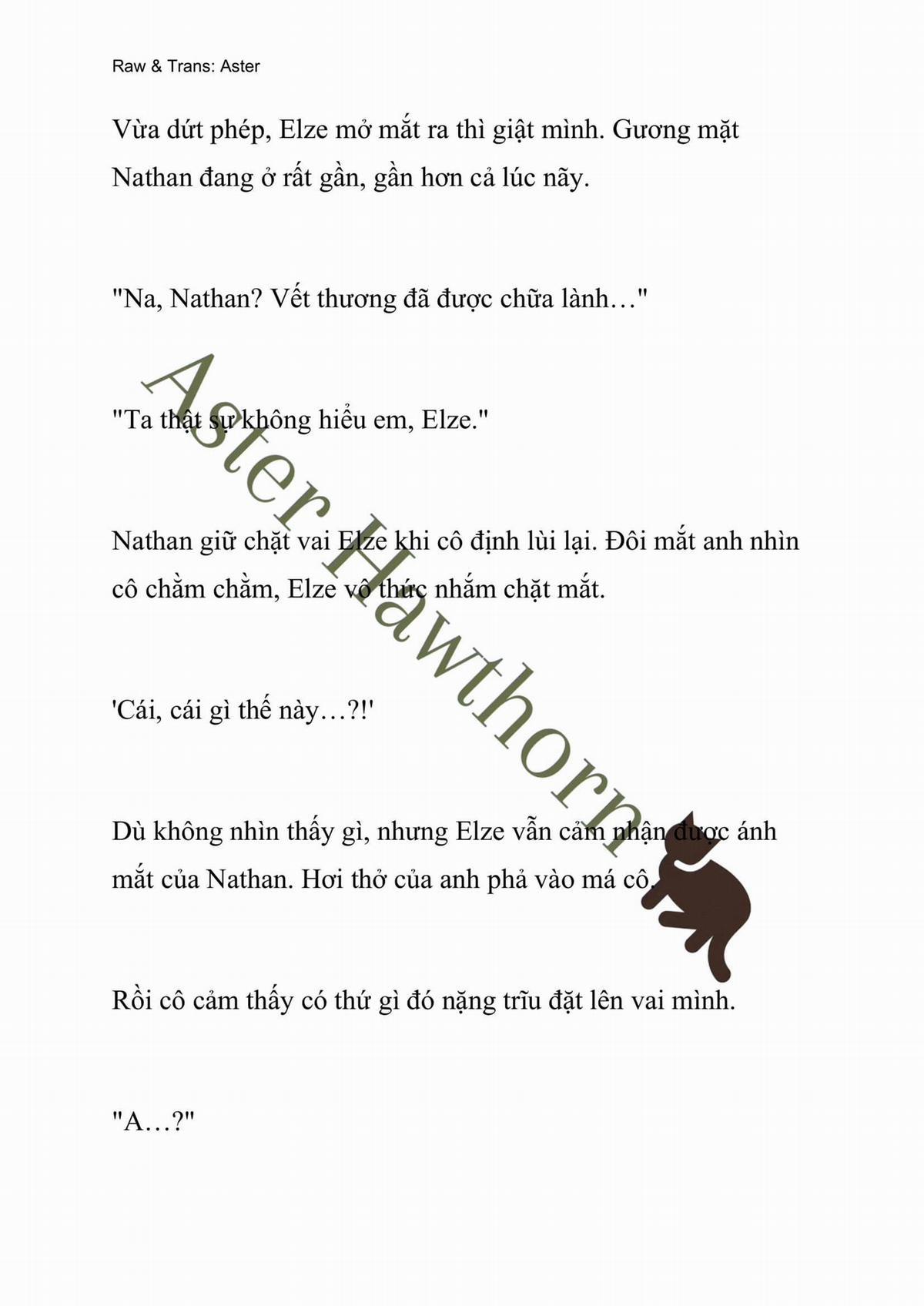 [Novel] Anh Hùng Khao Khát Sự Sa Ngã Của Thánh Nữ 8 trang 13