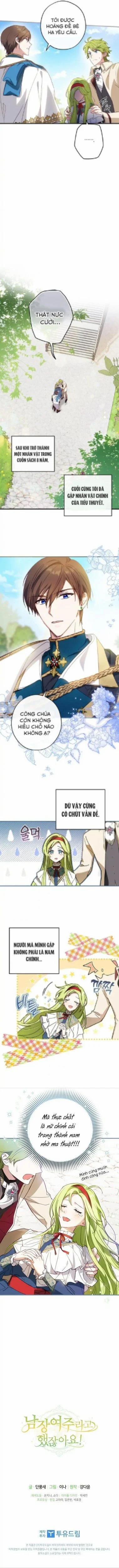 Nữ Chính Giả Thành Nam Nhân 1 trang 3