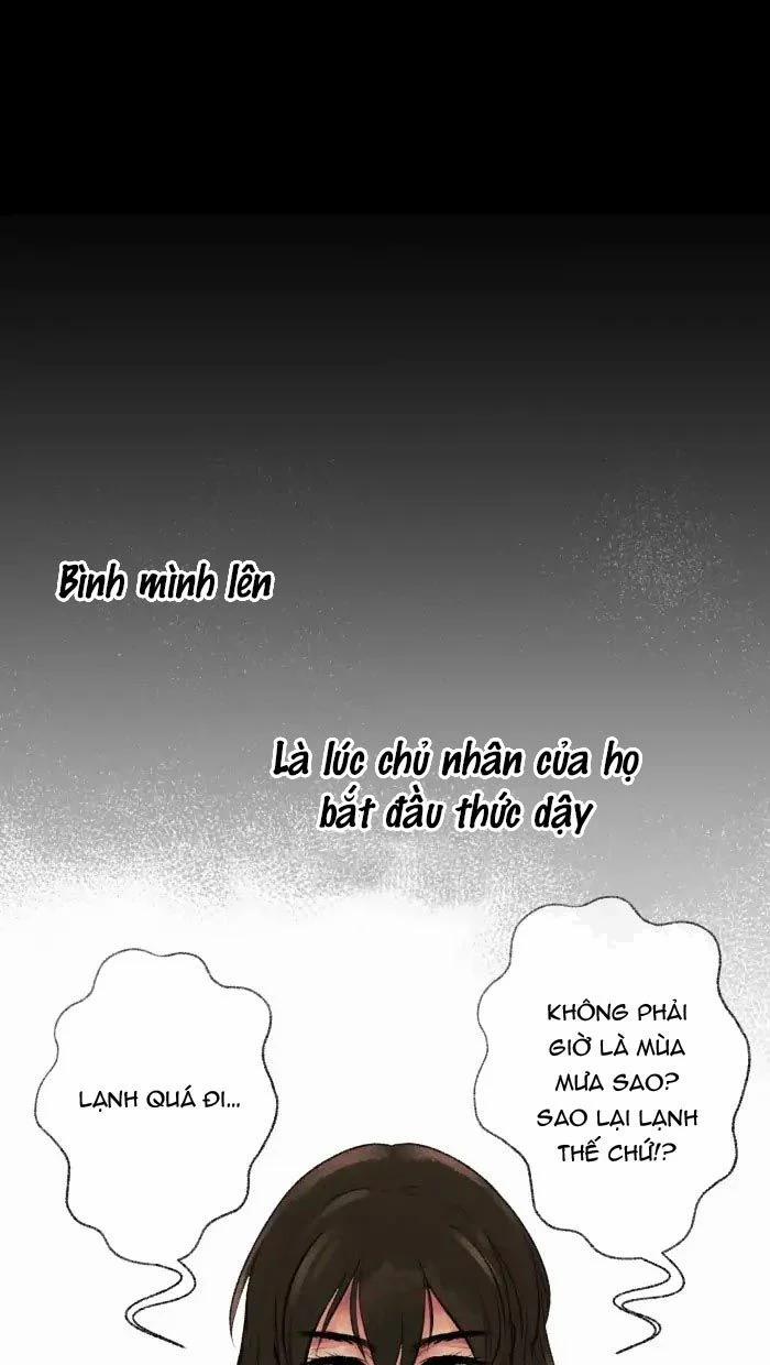Nữ Chính Không Muốn Yêu 39.2 trang 1