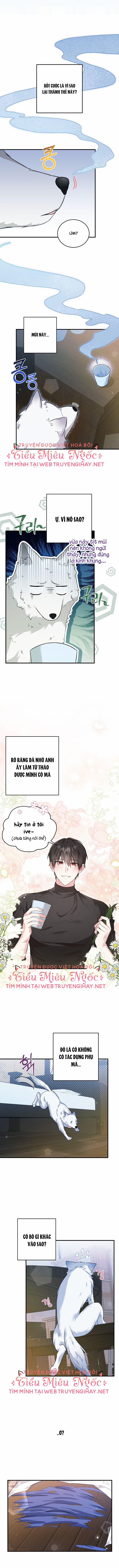 Nữ Chính Xem Tôi Giống Như Chị Dâu Của Em Ấy 20 trang 2