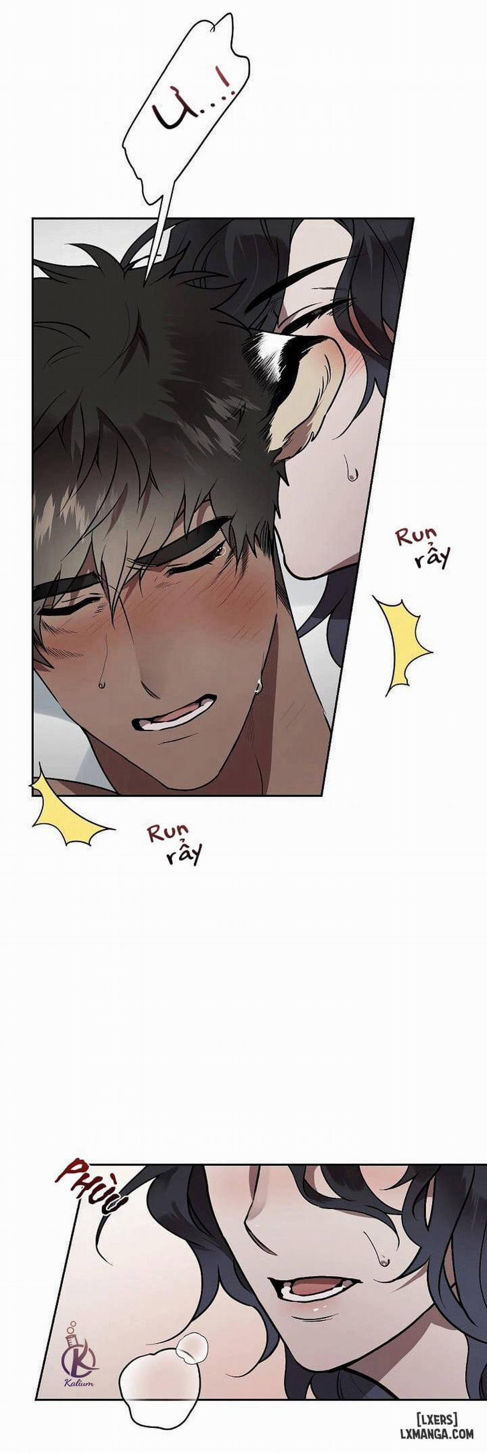 Nụ hôn ác mộng 4 trang 10