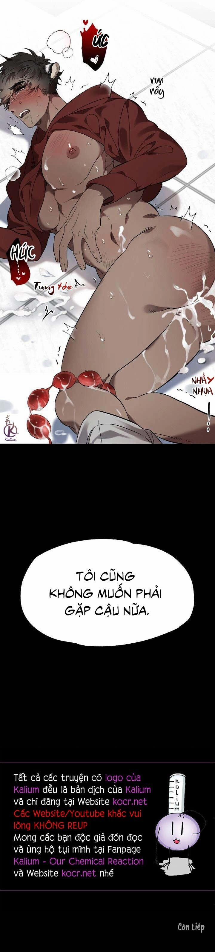 Nụ hôn ác mộng 8.5 trang 9