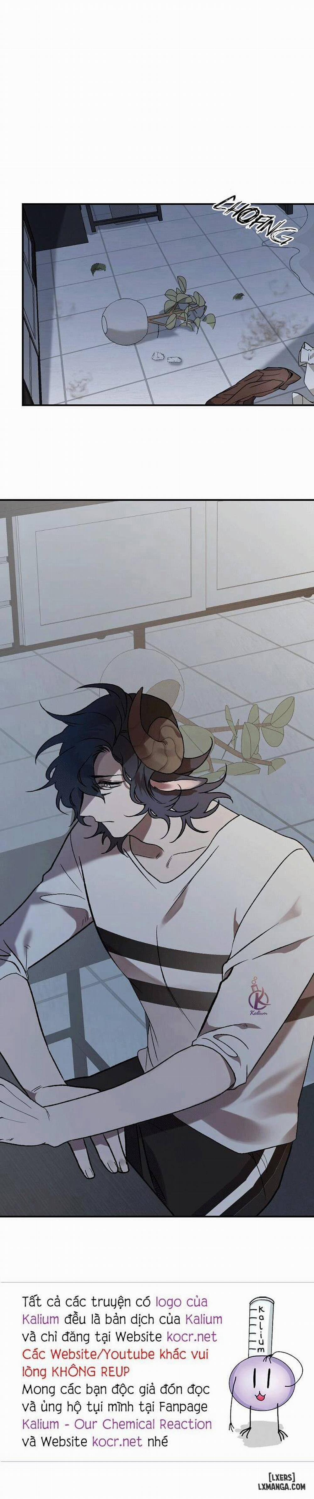 Nụ hôn ác mộng 9 trang 19