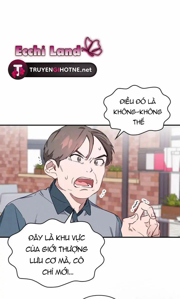 Nụ Hôn Lúc Bình Minh Ở Tiffany 1.1 trang 33