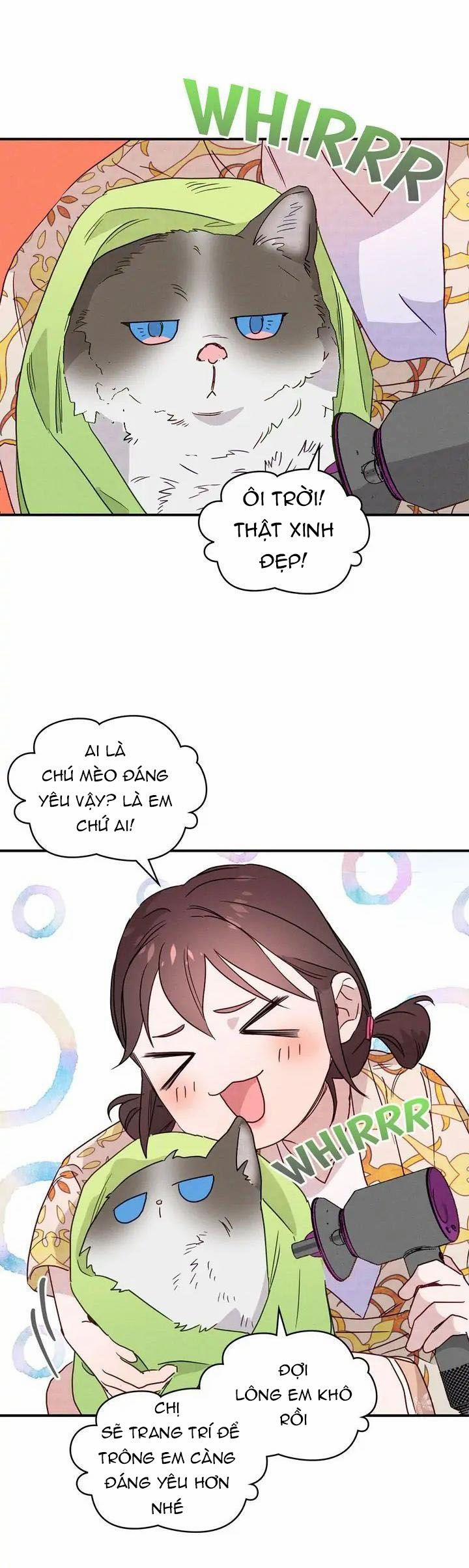 Nụ Hôn Lúc Bình Minh Ở Tiffany 6.1 trang 17