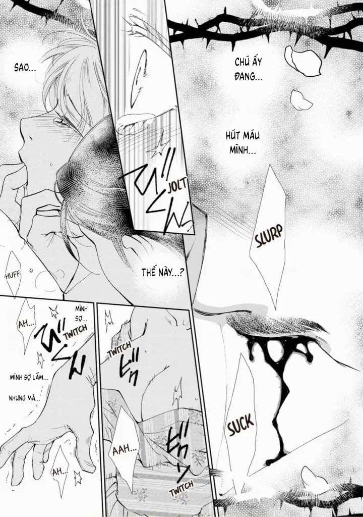 Nụ Hôn Ngọt Ngào Trên Đóa Hồng Đêm 1.2 trang 9