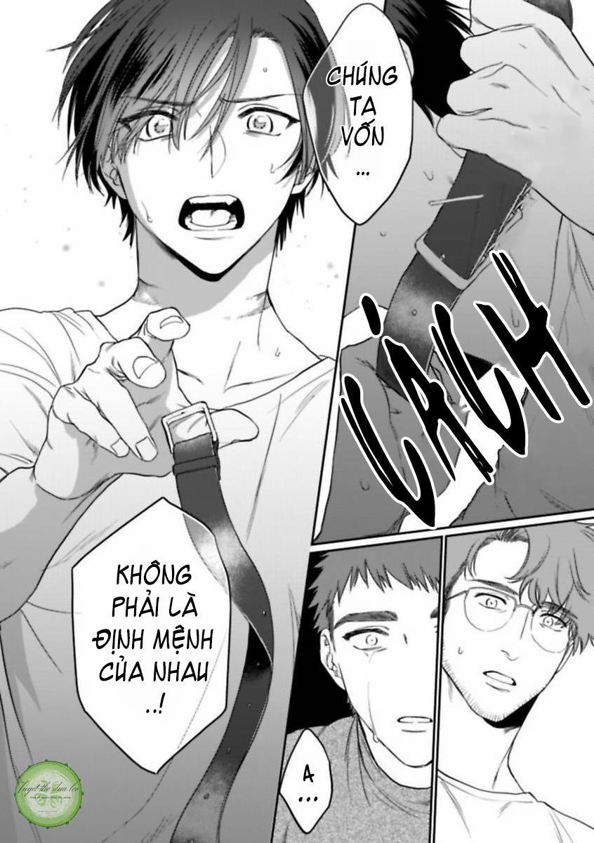 Nụ Hôn Trói Buộc 7 trang 25