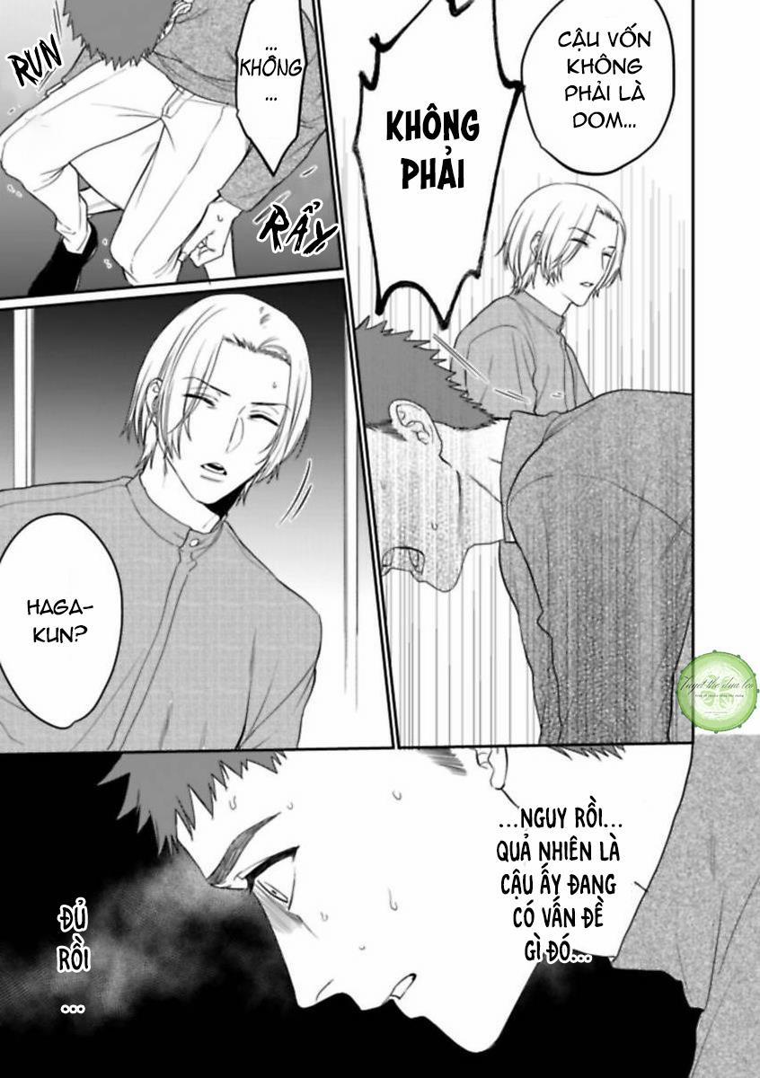 Nụ Hôn Trói Buộc 7 trang 6