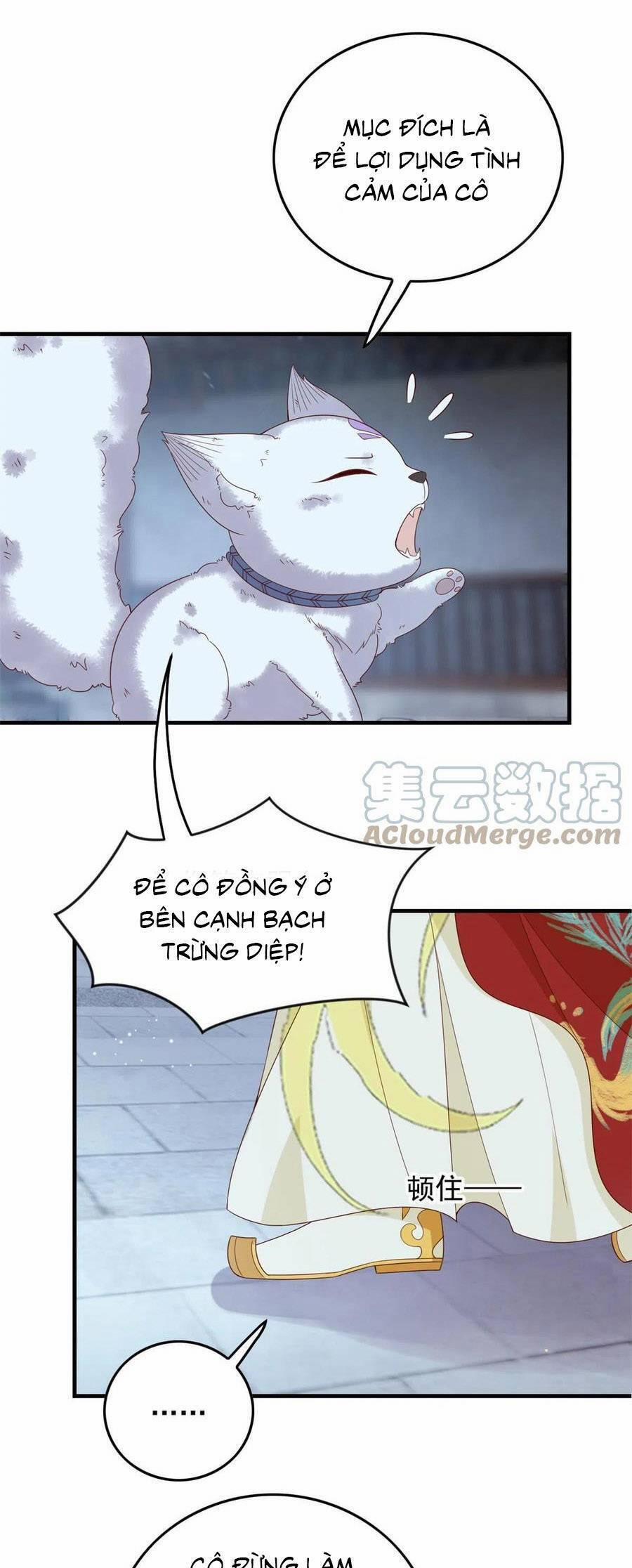 Nữ Phụ Không Thể Chọc Giận 130 trang 11