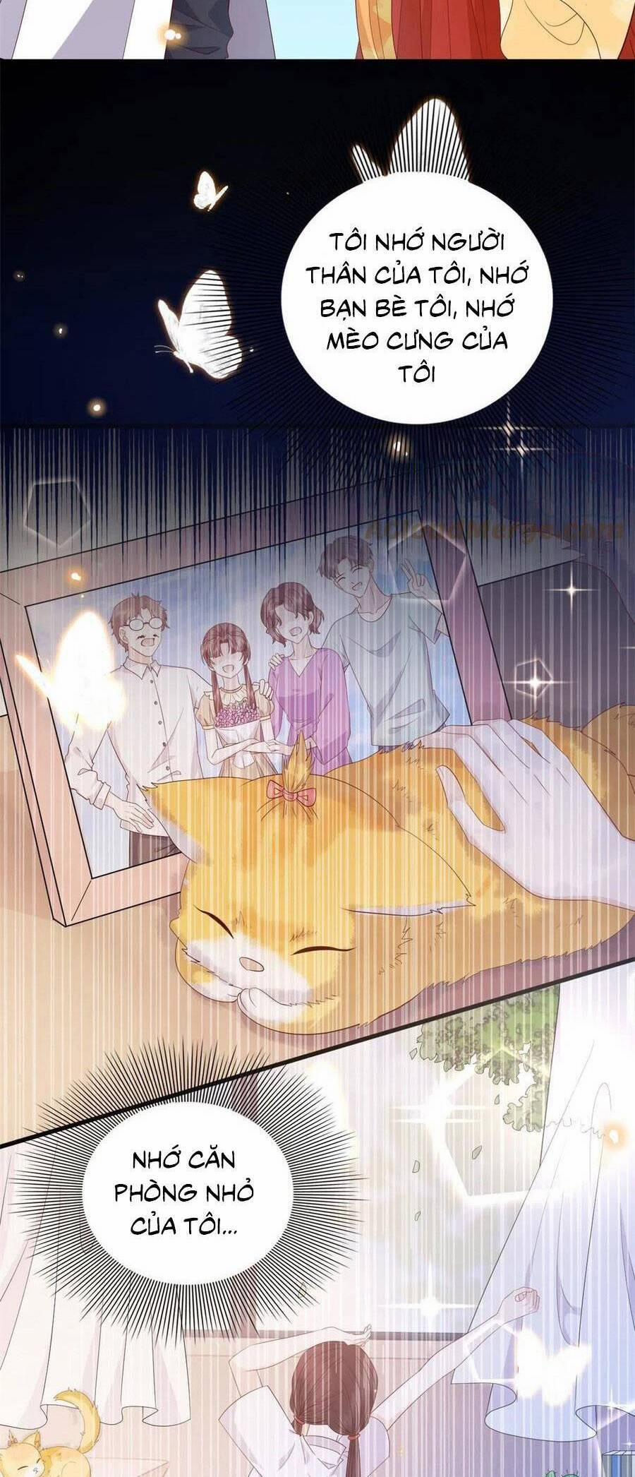 Nữ Phụ Không Thể Chọc Giận 133 trang 8