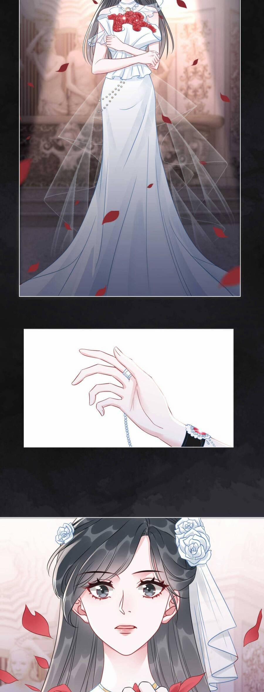 Nữ Phụ Ngày Nào Cũng Muốn Ly Hôn Với Ta 38 trang 2