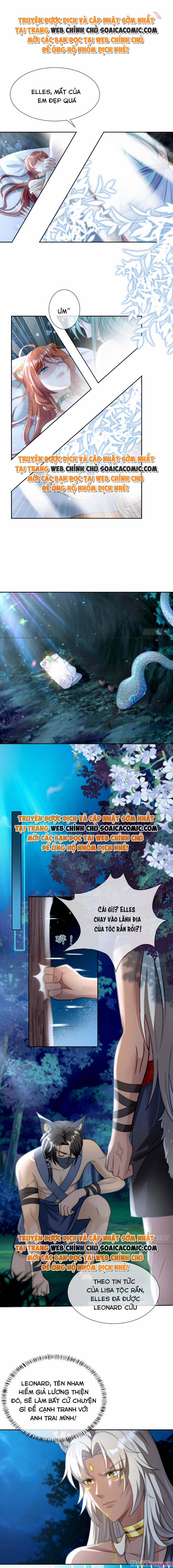 Nữ Vương Thú Thế: Nàng Chọn Yêu Hay Hận 10 trang 0