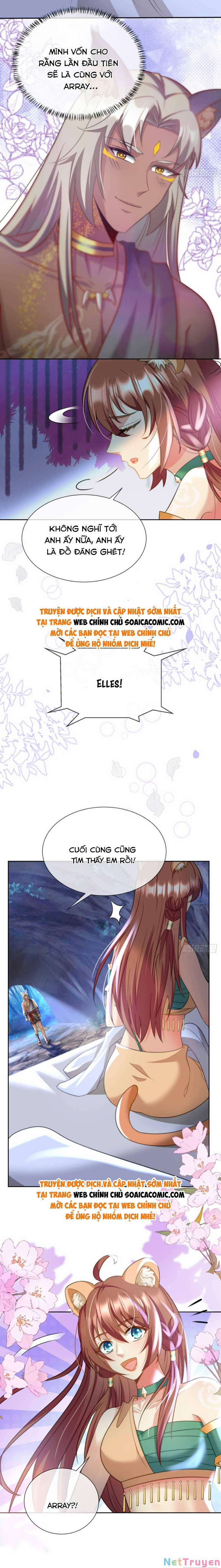 Nữ Vương Thú Thế: Nàng Chọn Yêu Hay Hận 11 trang 2