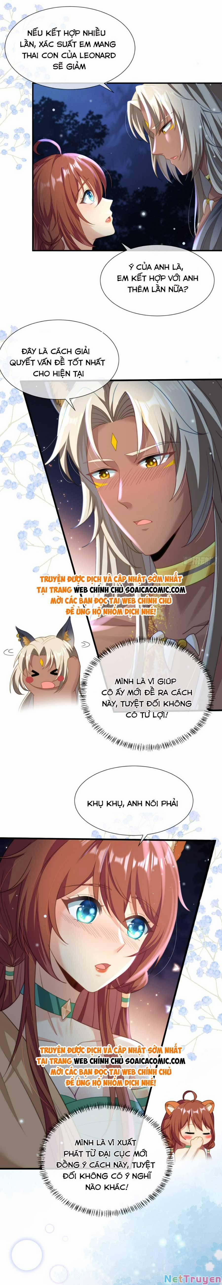 Nữ Vương Thú Thế: Nàng Chọn Yêu Hay Hận 12 trang 4