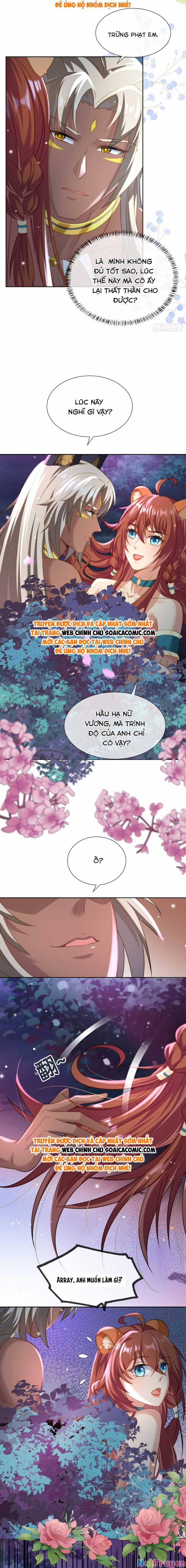 Nữ Vương Thú Thế: Nàng Chọn Yêu Hay Hận 13 trang 1