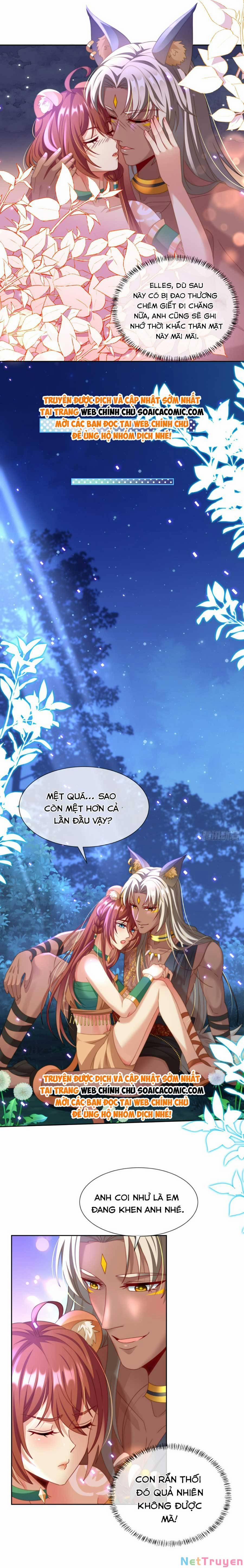 Nữ Vương Thú Thế: Nàng Chọn Yêu Hay Hận 13 trang 4