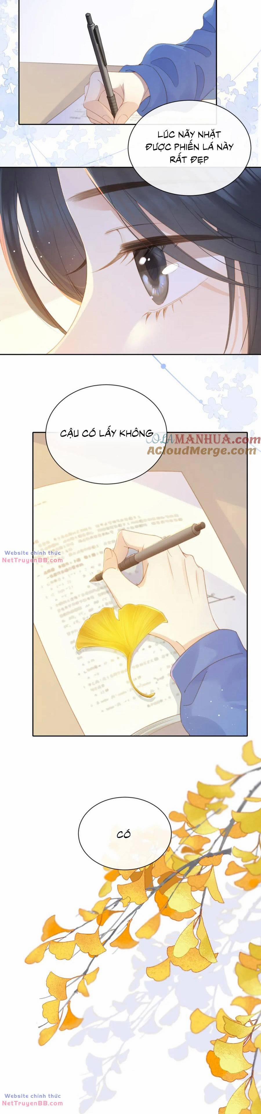 Núi Của Cô Ấy, Biển Của Cô Ấy 8 trang 4