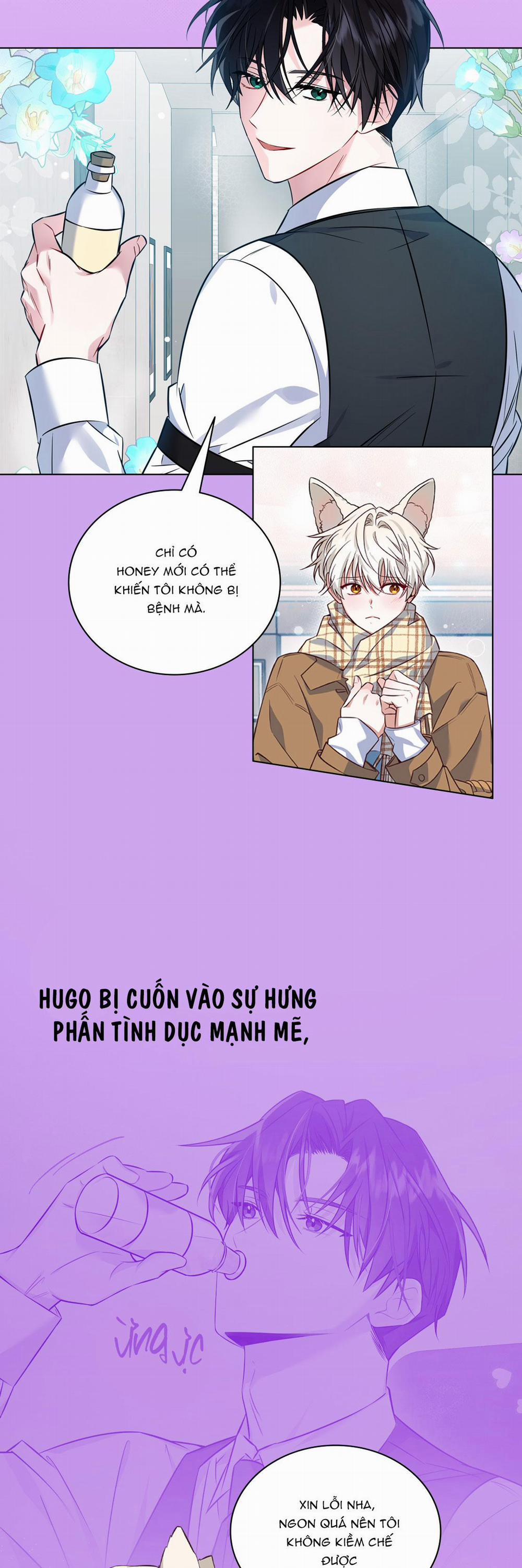 NƯỚC UỐNG TÌNH YÊU CỦA CÁO PLIN 0 trang 5