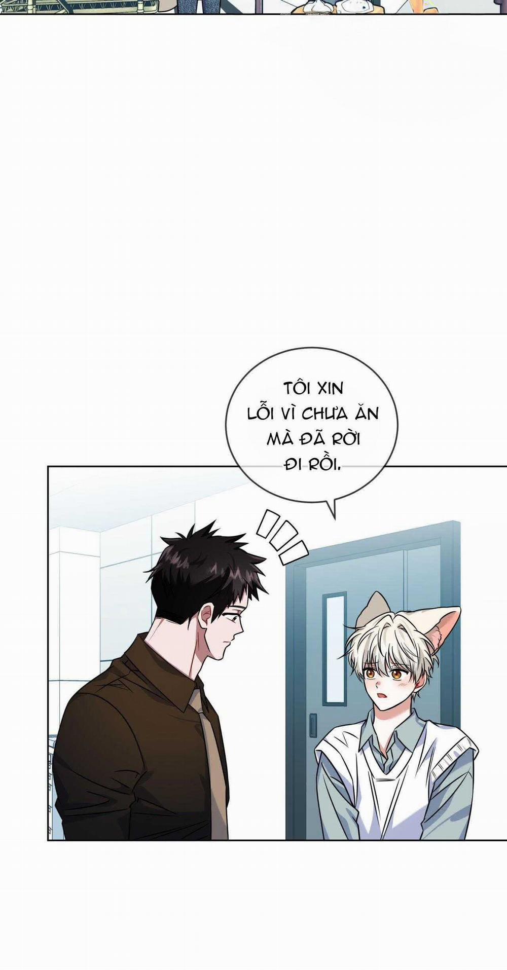 NƯỚC UỐNG TÌNH YÊU CỦA CÁO PLIN 18 trang 22