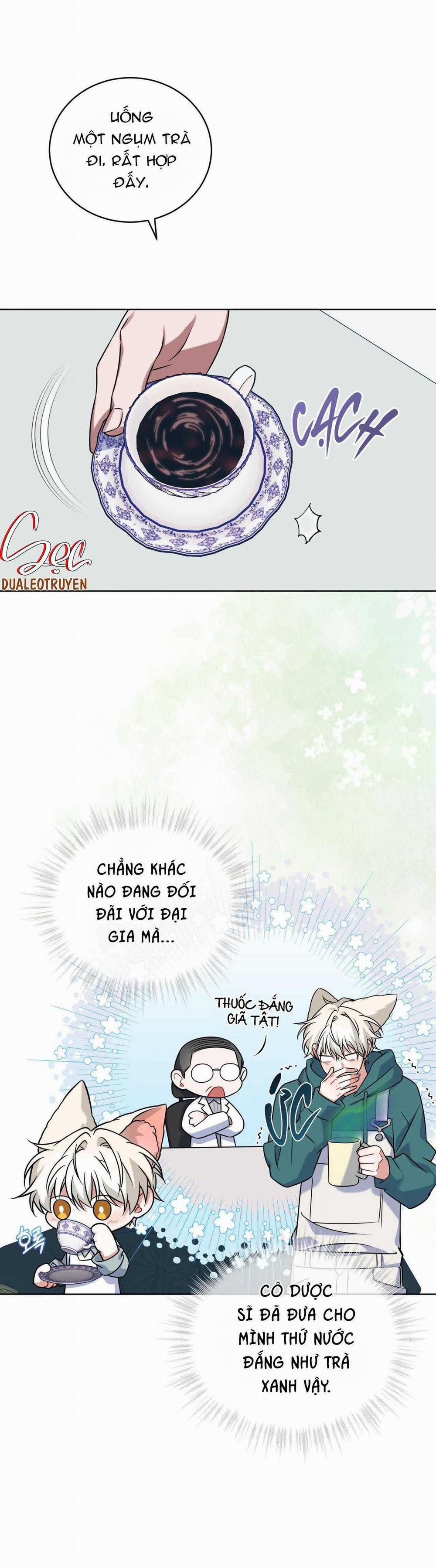 NƯỚC UỐNG TÌNH YÊU CỦA CÁO PLIN 18 trang 29