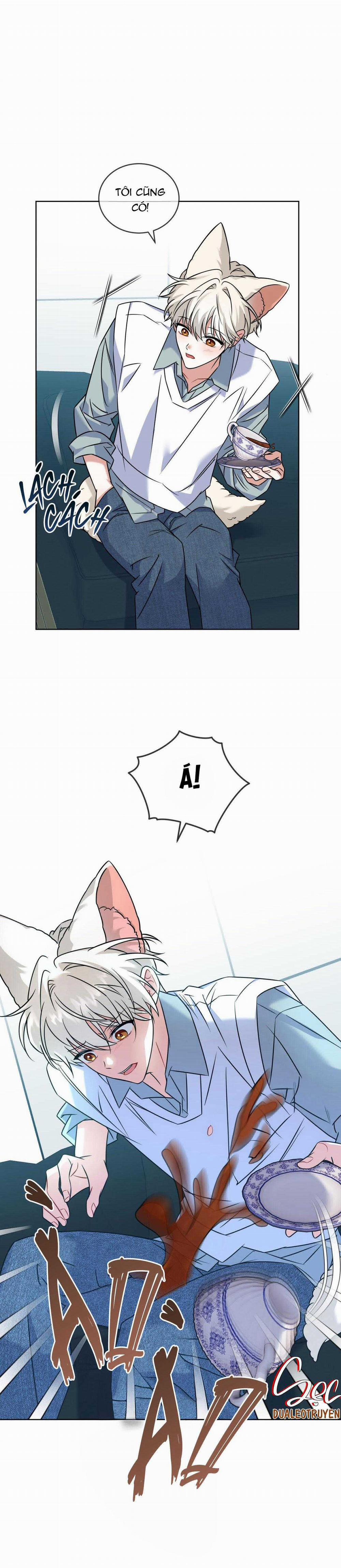 NƯỚC UỐNG TÌNH YÊU CỦA CÁO PLIN 18 trang 31