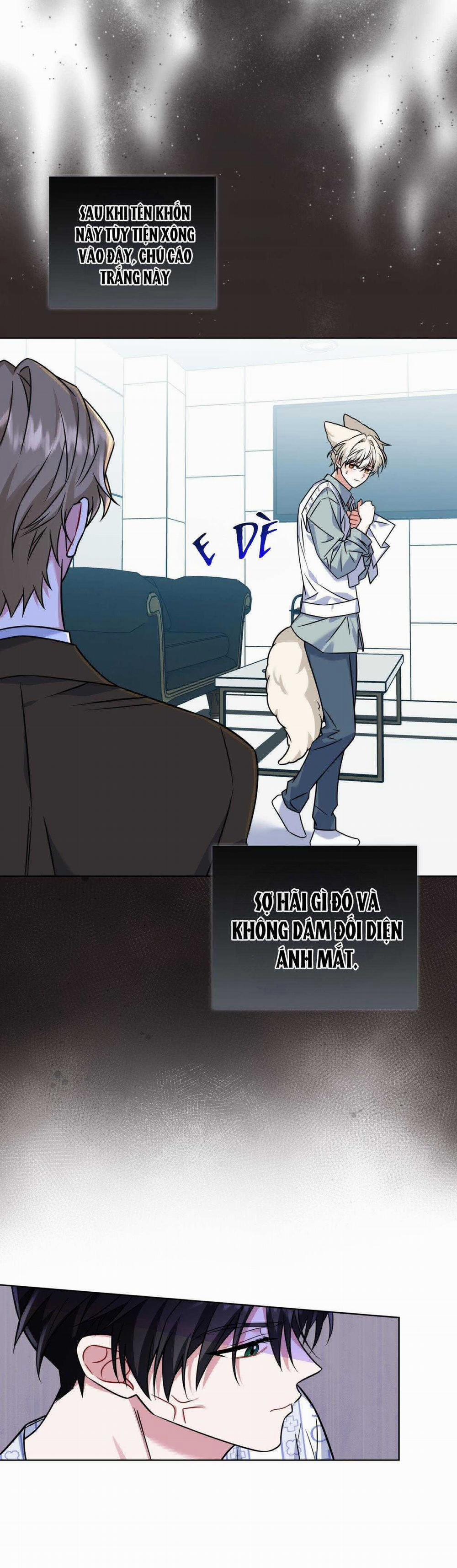 NƯỚC UỐNG TÌNH YÊU CỦA CÁO PLIN 19 trang 20