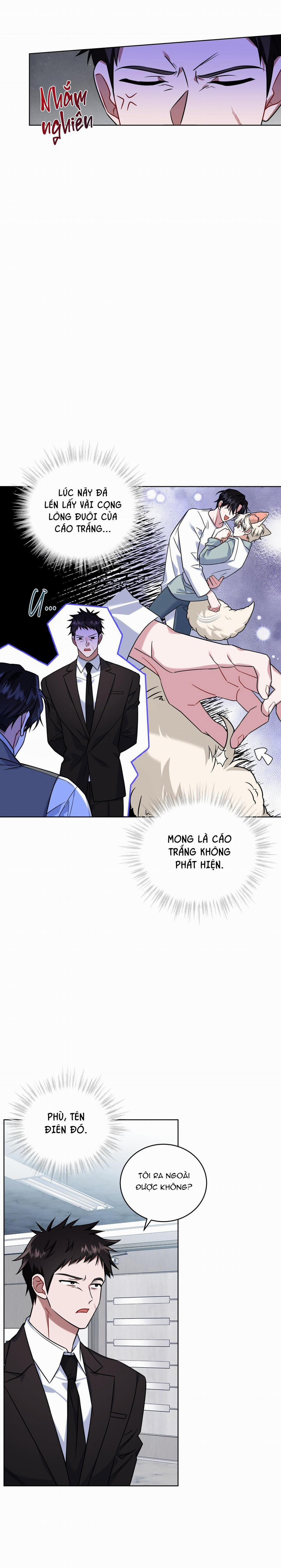 NƯỚC UỐNG TÌNH YÊU CỦA CÁO PLIN 20 trang 13