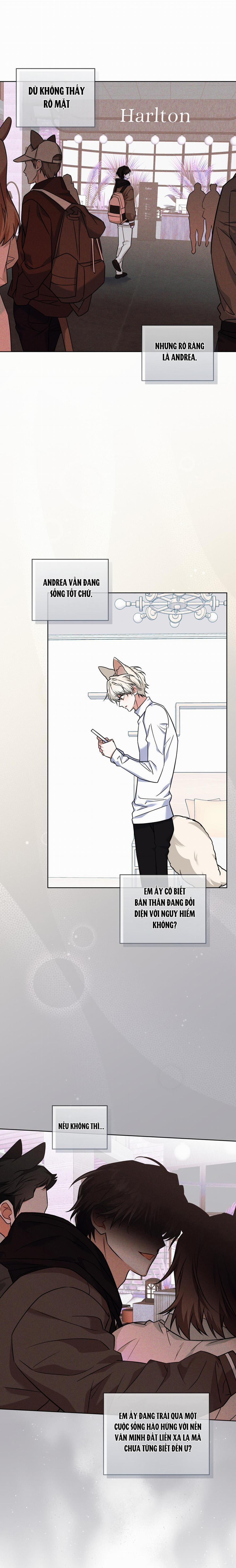 NƯỚC UỐNG TÌNH YÊU CỦA CÁO PLIN 20 trang 8