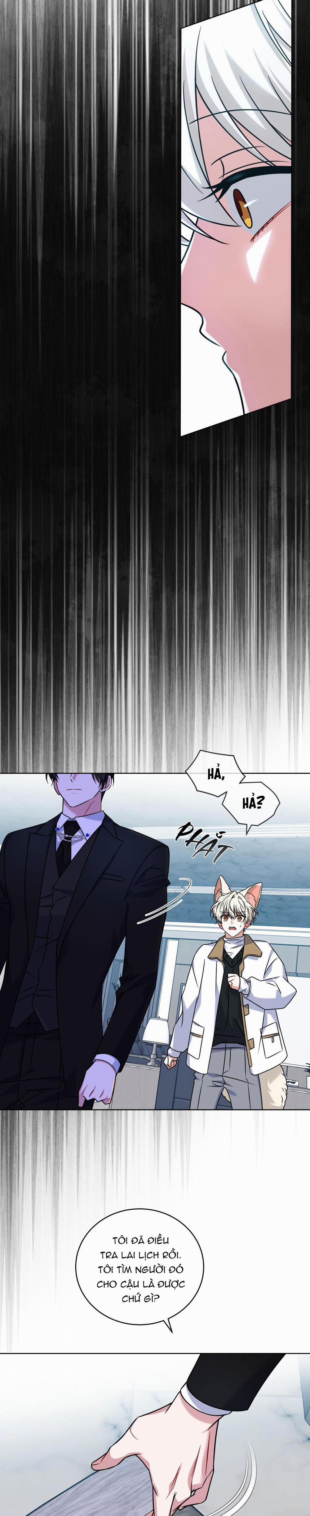 NƯỚC UỐNG TÌNH YÊU CỦA CÁO PLIN 21 trang 15