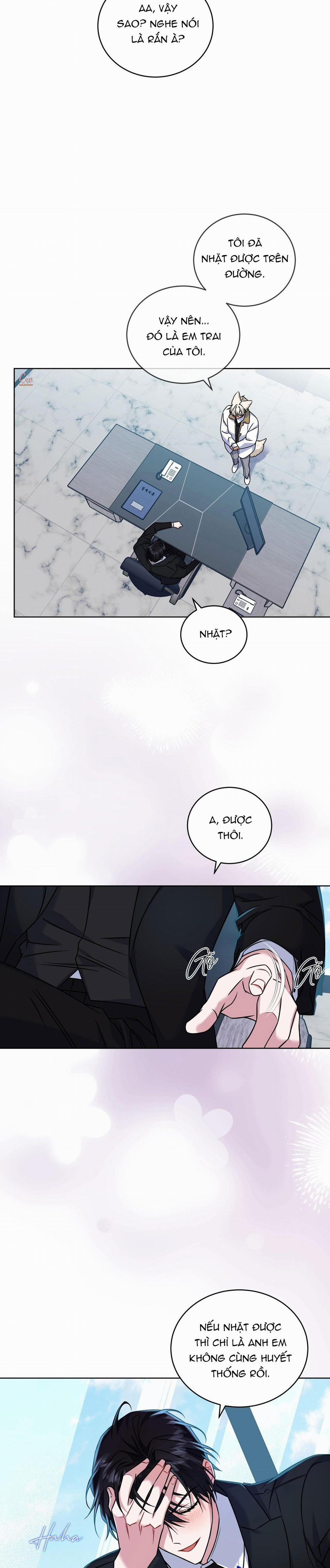 NƯỚC UỐNG TÌNH YÊU CỦA CÁO PLIN 21 trang 17