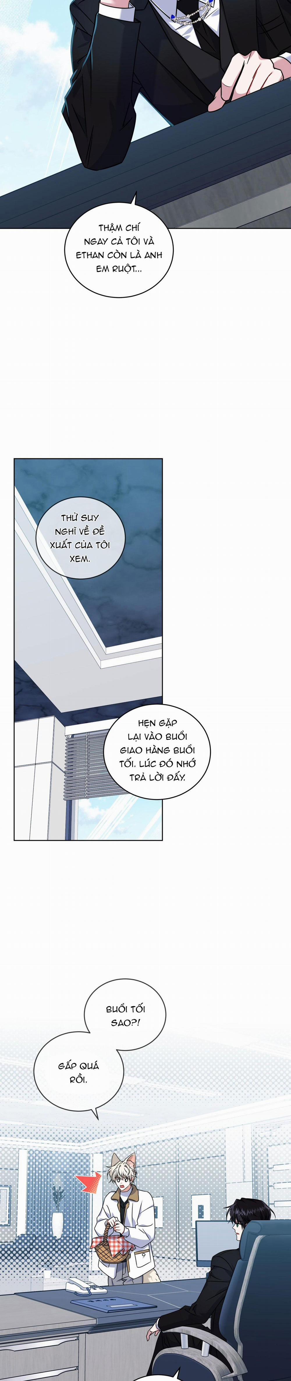 NƯỚC UỐNG TÌNH YÊU CỦA CÁO PLIN 21 trang 18