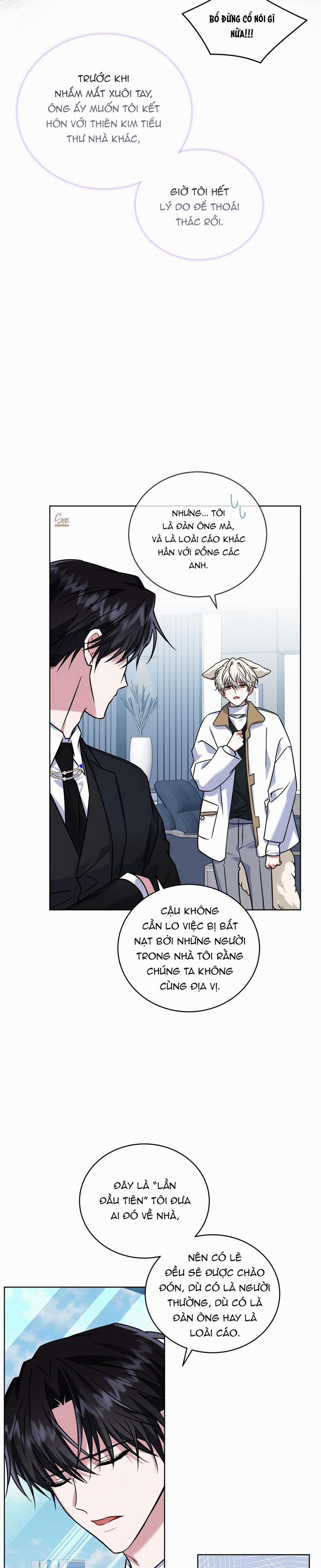 NƯỚC UỐNG TÌNH YÊU CỦA CÁO PLIN 21 trang 3